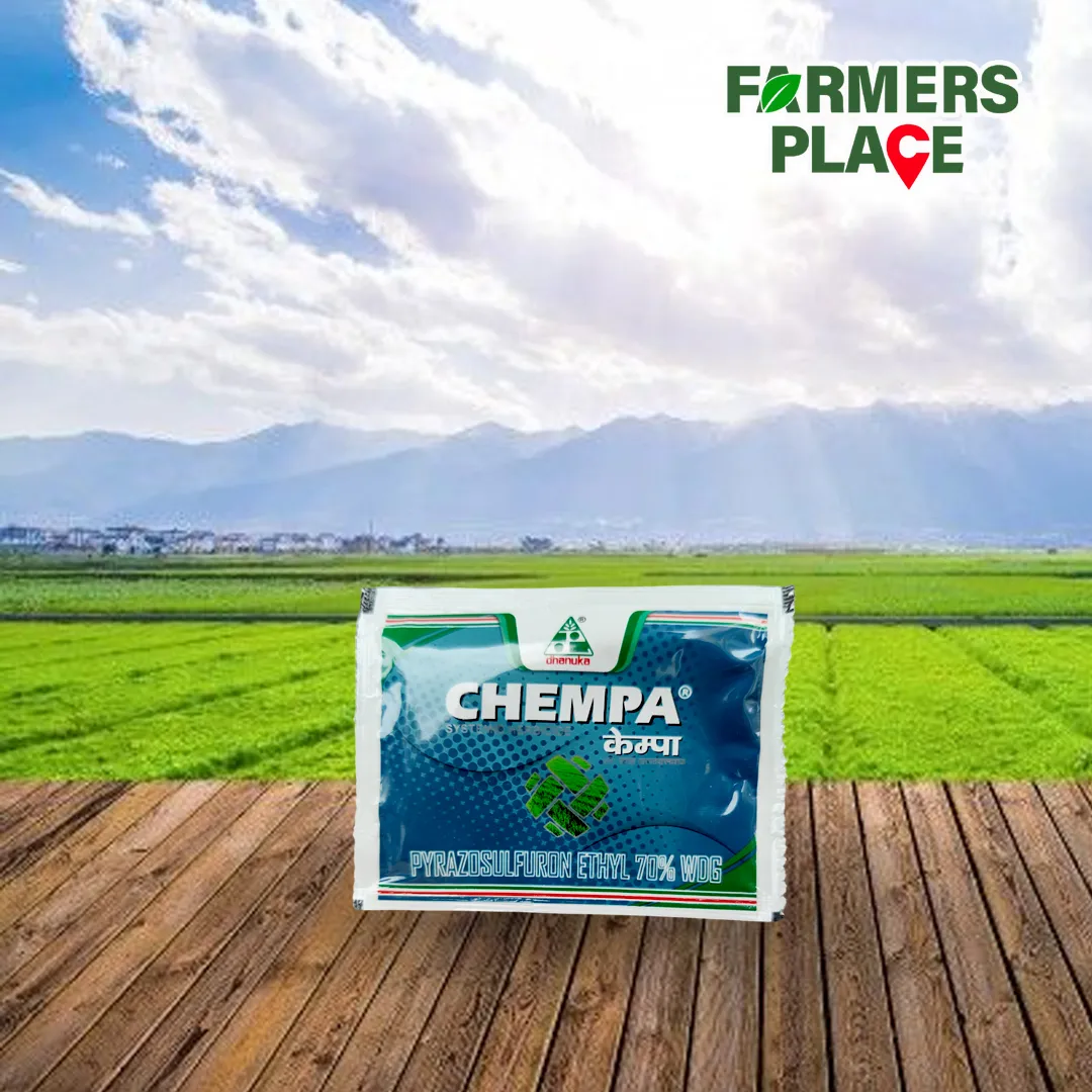 Chempa