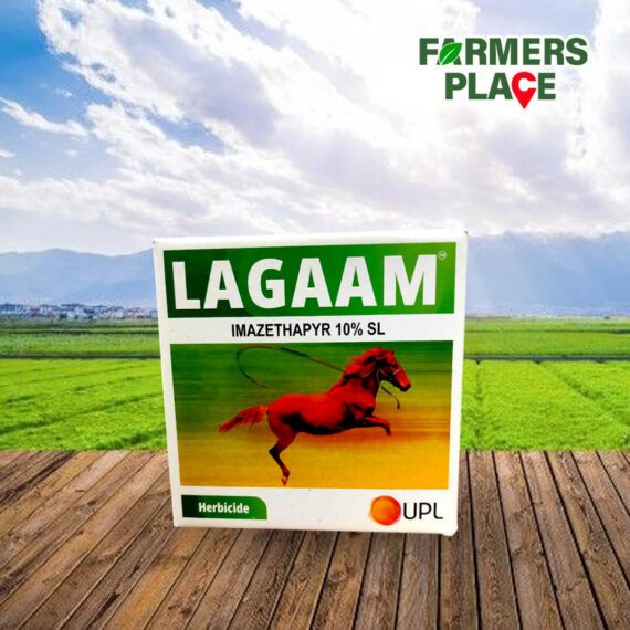 Lagaam