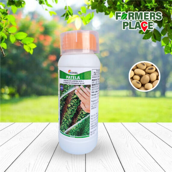Patela
