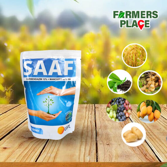 SAAF