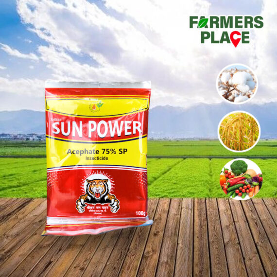 Sun Power