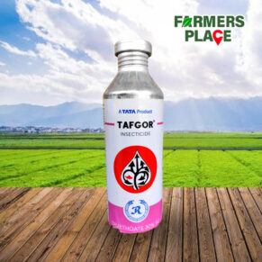 Tafgor